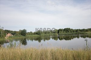 sprzedam działkę Miłochowice sprzedam działkę Miłochowice