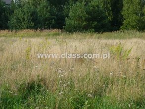 sprzedam działkę Bydgoszcz Fordon sprzedam działkę Bydgoszcz Fordon