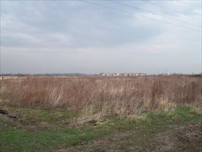 sprzedam działkę Wrocław Krzyki sprzedam działkę Wrocław Krzyki