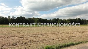 sprzedam działkę Oświęcim Poręba Wielka sprzedam działkę Oświęcim Poręba Wielka