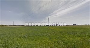 sprzedam działkę Poznań Pokrzywno sprzedam działkę Poznań Pokrzywno