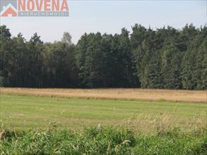 sprzedam działkę Henrykowice Henrykowice sprzedam działkę Henrykowice Henrykowice