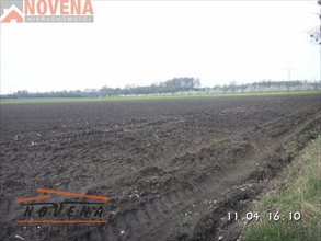 sprzedam działkę Trzebnica sprzedam działkę Trzebnica