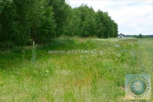 sprzedam działkę POBIEROWO OKOLICA sprzedam działkę POBIEROWO OKOLICA