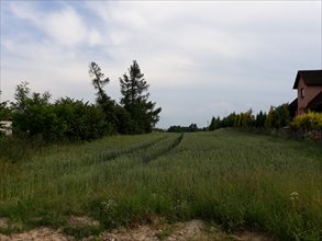 sprzedam działkę Jeżówka sprzedam działkę Jeżówka