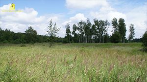 Działka na sprzedaż Dąbrowa Działka na sprzedaż Dąbrowa