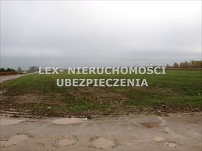 sprzedam działkę Sokołów sprzedam działkę Sokołów