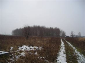 sprzedam działkę Gorzów Wielkopolski sprzedam działkę Gorzów Wielkopolski
