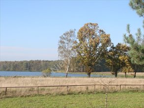 sprzedam działkę Grzegorzewice sprzedam działkę Grzegorzewice