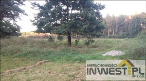 sprzedam działkę Natać Wielka Natać Wielka sprzedam działkę Natać Wielka Natać Wielka