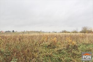 sprzedam działkę POBIEROWO OKOLICA sprzedam działkę POBIEROWO OKOLICA