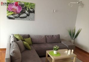 wynajmę mieszkanie Kraków Śródmieście wynajmę mieszkanie Kraków Śródmieście