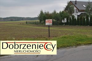 sprzedam działkę Młynkowo sprzedam działkę Młynkowo