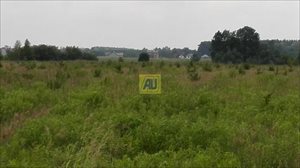 sprzedam działkę Nowe Racibory sprzedam działkę Nowe Racibory