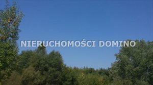 sprzedam działkę Bełchatów sprzedam działkę Bełchatów