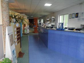 Lokal użytkowy na wynajem Krapkowice 