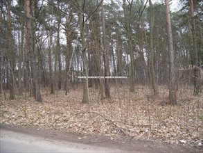 sprzedam działkę Izabelin B sprzedam działkę Izabelin B