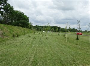 Działka na sprzedaż Chmielowice Działka na sprzedaż Chmielowice