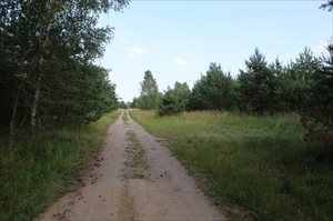 sprzedam działkę Jabłonka sprzedam działkę Jabłonka