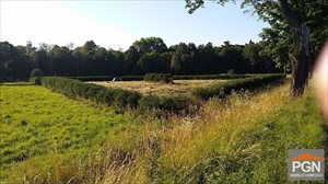 sprzedam działkę POBIEROWO OKOLICA sprzedam działkę POBIEROWO OKOLICA