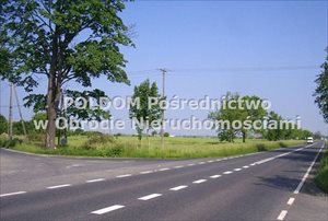 sprzedam działkę Trzebnica sprzedam działkę Trzebnica