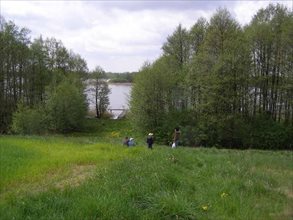 sprzedam działkę Szwarcenowo sprzedam działkę Szwarcenowo