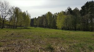 sprzedam działkę Łódź Górna sprzedam działkę Łódź Górna