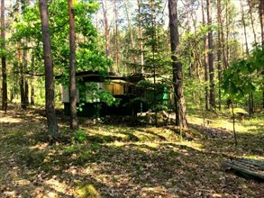 sprzedam działkę Wilga sprzedam działkę Wilga
