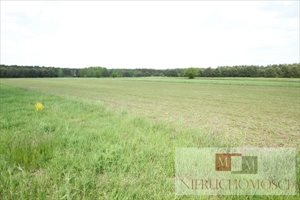 Działka na sprzedaż Niwki 