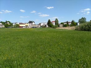 sprzedam działkę Nibork Drugi sprzedam działkę Nibork Drugi