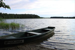sprzedam działkę Łąkie sprzedam działkę Łąkie