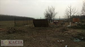 sprzedam działkę Kalisz Piwonice sprzedam działkę Kalisz Piwonice