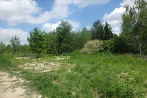 sprzedam działkę Lublin Węglin sprzedam działkę Lublin Węglin