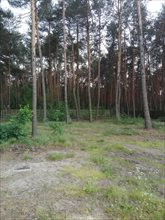 sprzedam działkę Józefów sprzedam działkę Józefów