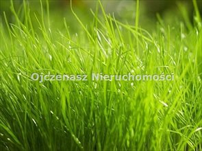 sprzedam działkę Bydgoszcz Jary sprzedam działkę Bydgoszcz Jary