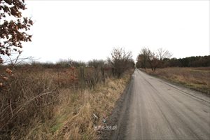sprzedam działkę Gorzów Wielkopolski Chróścik sprzedam działkę Gorzów Wielkopolski Chróścik
