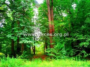 sprzedam działkę Zgierz sprzedam działkę Zgierz