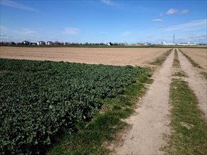 sprzedam działkę Poznań sprzedam działkę Poznań