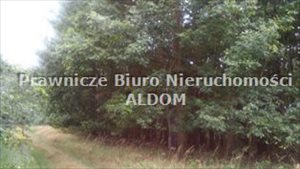 Działka na sprzedaż Szczedrzyk 