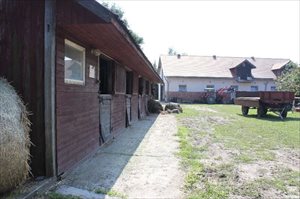 Lokal użytkowy na sprzedaż Brzeg Lubsza 