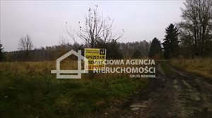 sprzedam działkę Niechorz sprzedam działkę Niechorz