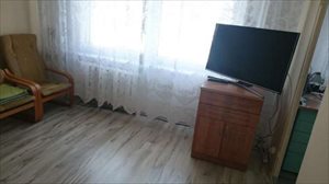 wynajmę mieszkanie Olsztyn Stare Miasto wynajmę mieszkanie Olsztyn Stare Miasto