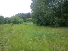sprzedam działkę Pruszewiec sprzedam działkę Pruszewiec