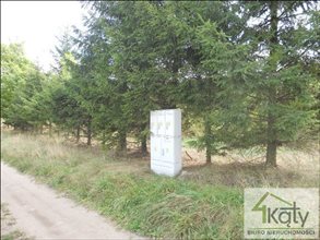 sprzedam działkę Biskupiec Biskupiec Kolonia Trzecia sprzedam działkę Biskupiec Biskupiec Kolonia Trzecia