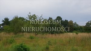 sprzedam działkę Wrocław Psie Pole sprzedam działkę Wrocław Psie Pole