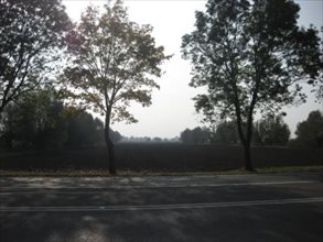 sprzedam działkę Kazimierzowo sprzedam działkę Kazimierzowo