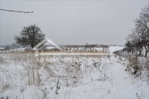 sprzedam działkę Dąbrowica sprzedam działkę Dąbrowica