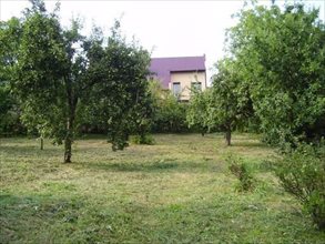sprzedam działkę Żernica sprzedam działkę Żernica