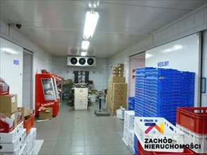 wynajmę punkt handlowy Gorzów Wielkopolski wynajmę punkt handlowy Gorzów Wielkopolski