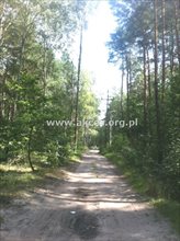 sprzedam działkę Sękocin Stary Sękocin-Las sprzedam działkę Sękocin Stary Sękocin-Las